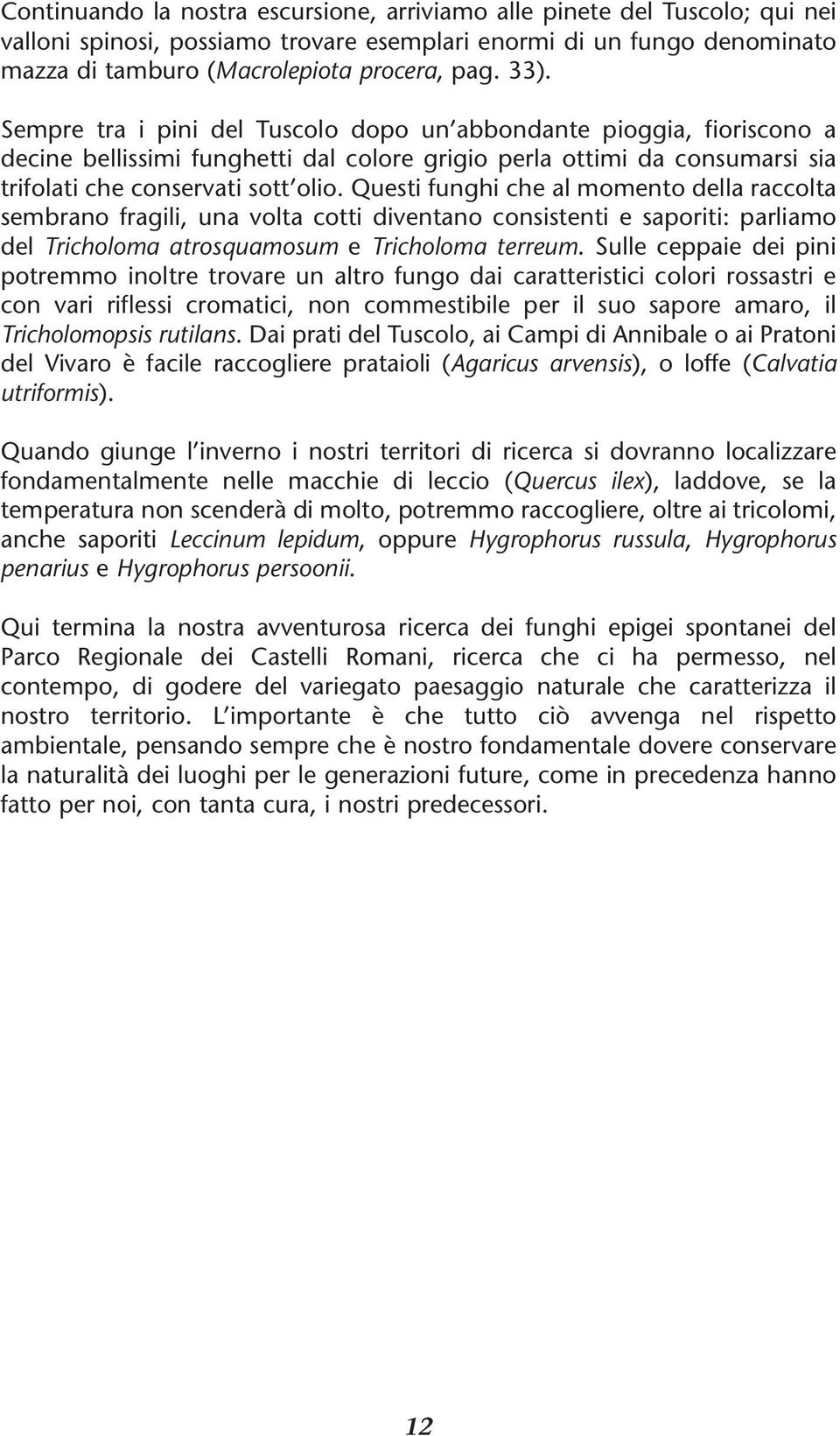 Questi funghi che al momento della raccolta sembrano fragili, una volta cotti diventano consistenti e saporiti: parliamo del Tricholoma atrosquamosum e Tricholoma terreum.