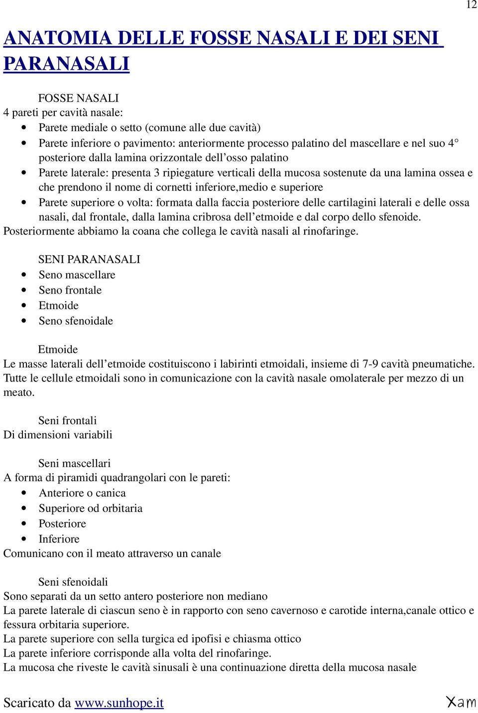 il nome di cornetti inferiore,medio e superiore Parete superiore o volta: formata dalla faccia posteriore delle cartilagini laterali e delle ossa nasali, dal frontale, dalla lamina cribrosa dell