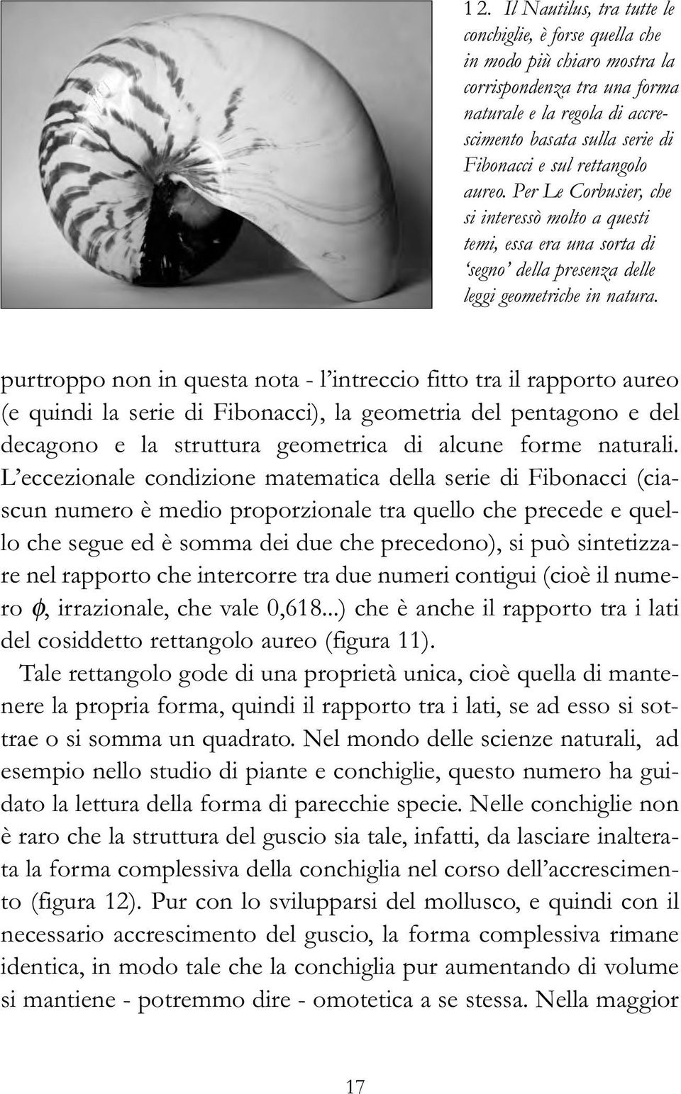 purtroppo non in questa nota - l intreccio fitto tra il rapporto aureo (e quindi la serie di Fibonacci), la geometria del pentagono e del decagono e la struttura geometrica di alcune forme naturali.