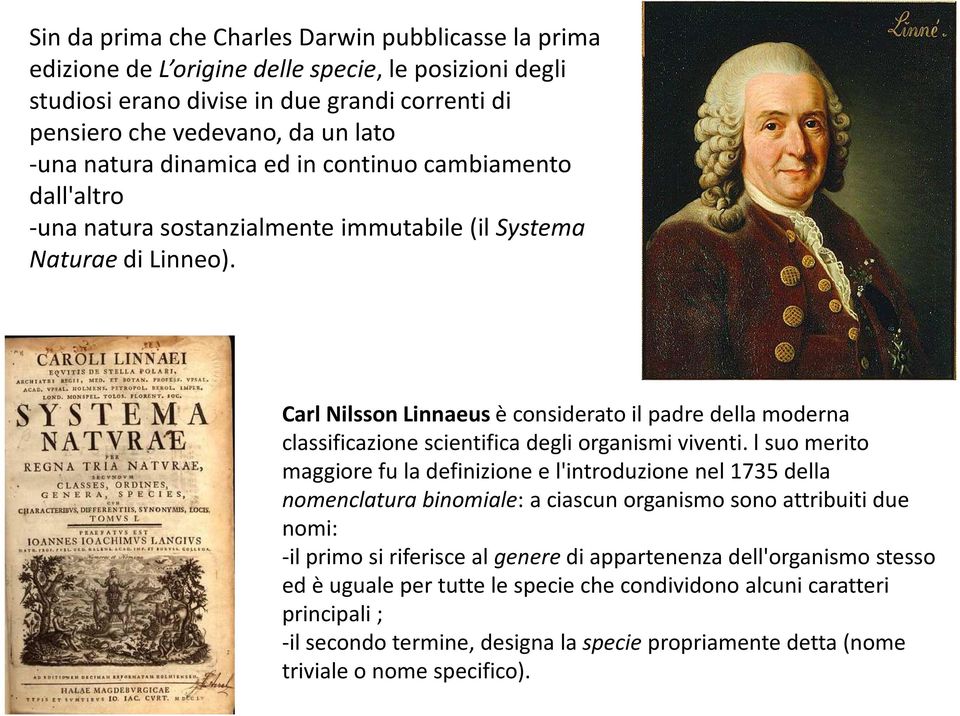 Carl Nilsson Linnaeusè considerato il padre della moderna classificazione scientifica degli organismi viventi.