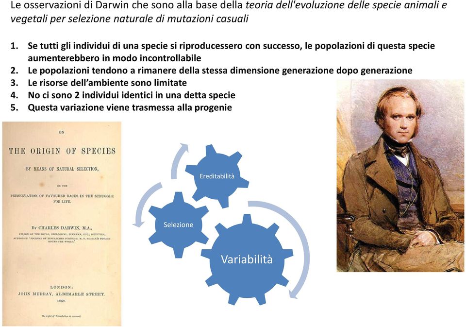 Se tuttigliindividuidiunaspecie siriproducessero con successo, le popolazionidiquestaspecie aumenterebbero in modo incontrollabile 2.