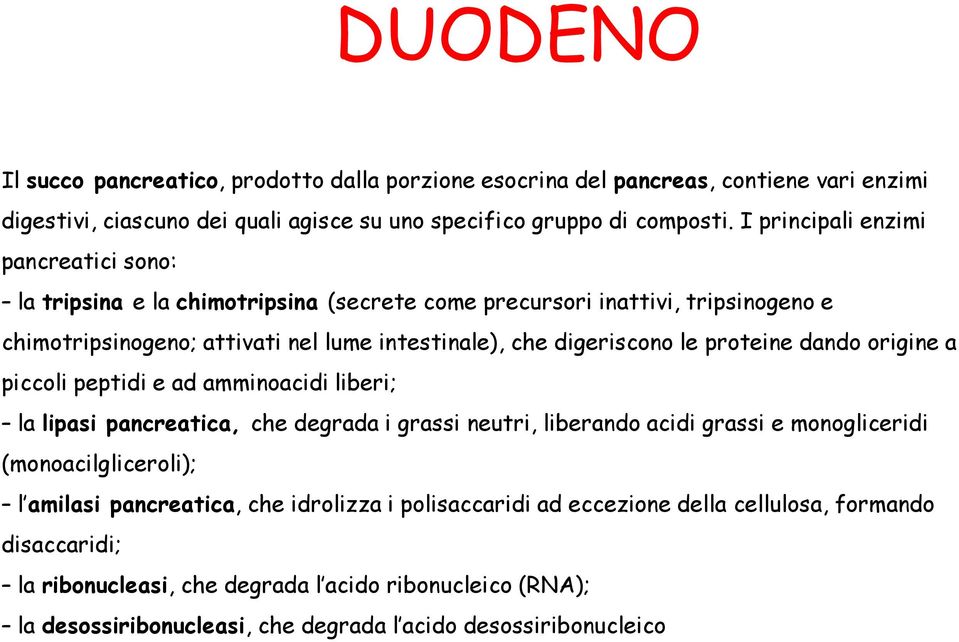 proteine dando origine a piccoli peptidi e ad amminoacidi liberi; la lipasi pancreatica, che degrada i grassi neutri, liberando acidi grassi e monogliceridi (monoacilgliceroli); l amilasi