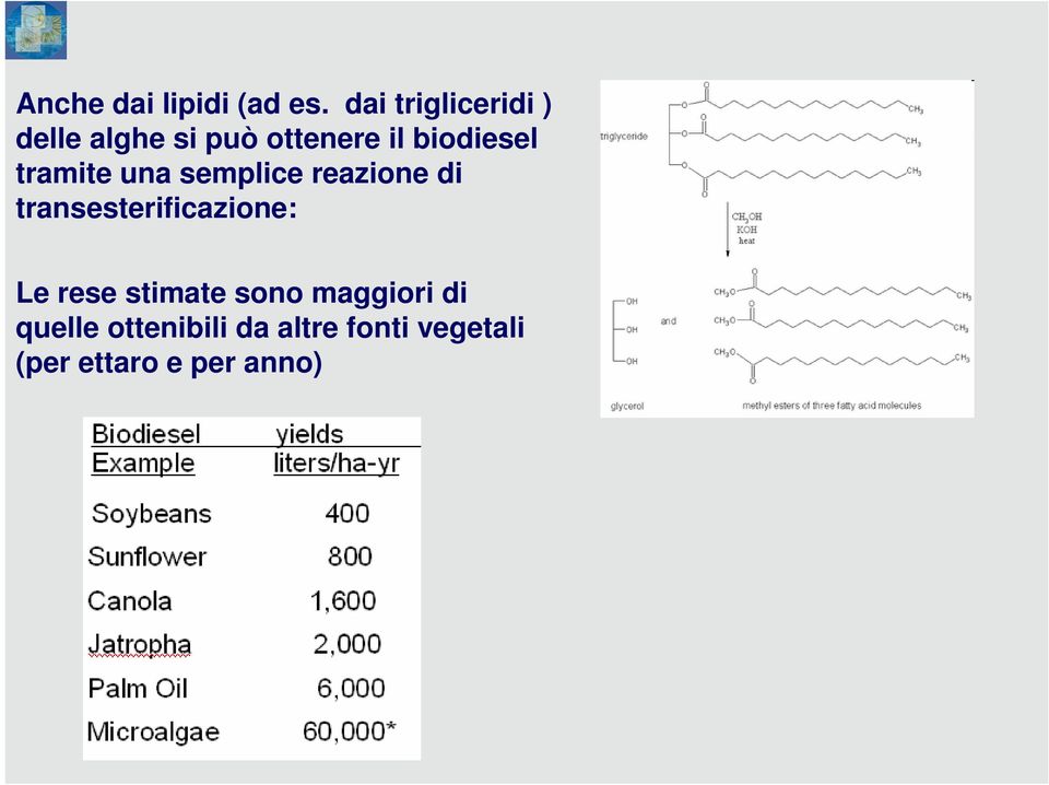 tramite una semplice reazione di transesterificazione: Le