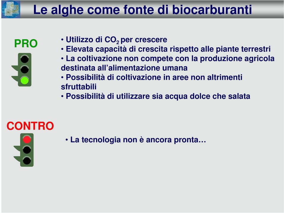 agricola destinata all alimentazione umana Possibilità di coltivazione in aree non altrimenti