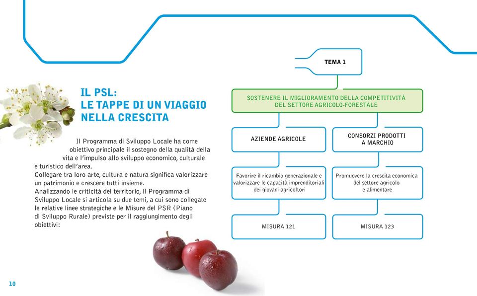 Analizzando le criticità del territorio, il Programma di Sviluppo Locale si articola su due temi, a cui sono collegate le relative linee strategiche e le Misure del PSR (Piano di Sviluppo Rurale)