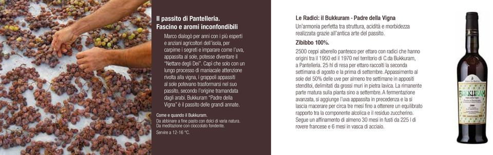 degli Dei. Capì che solo con un lungo processo di maniacale attenzione rivolta alla vigna, i grappoli appassiti al sole potevano trasformarsi nel suo passito, secondo l origine tramandata dagli arabi.