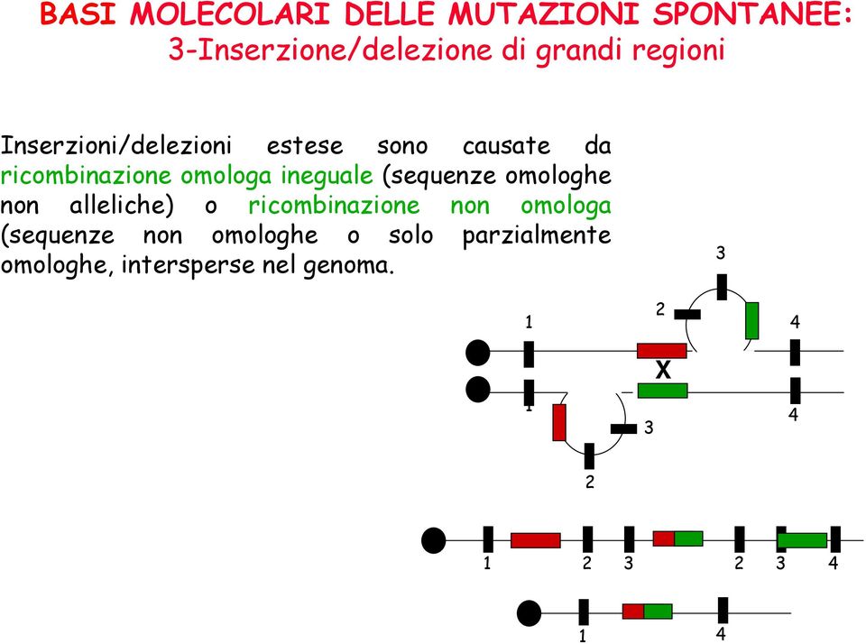 (sequenze omologhe non alleliche) o ricombinazione non omologa (sequenze non