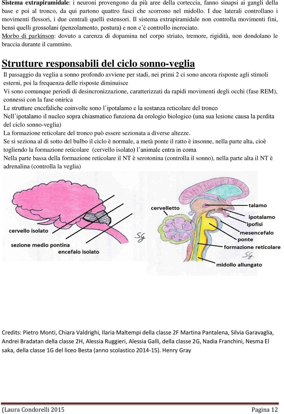 Il sistema extrapiramidale non controlla movimenti fini, bensì quelli grossolani (penzolamento, postura) e non c è controllo incrociato.