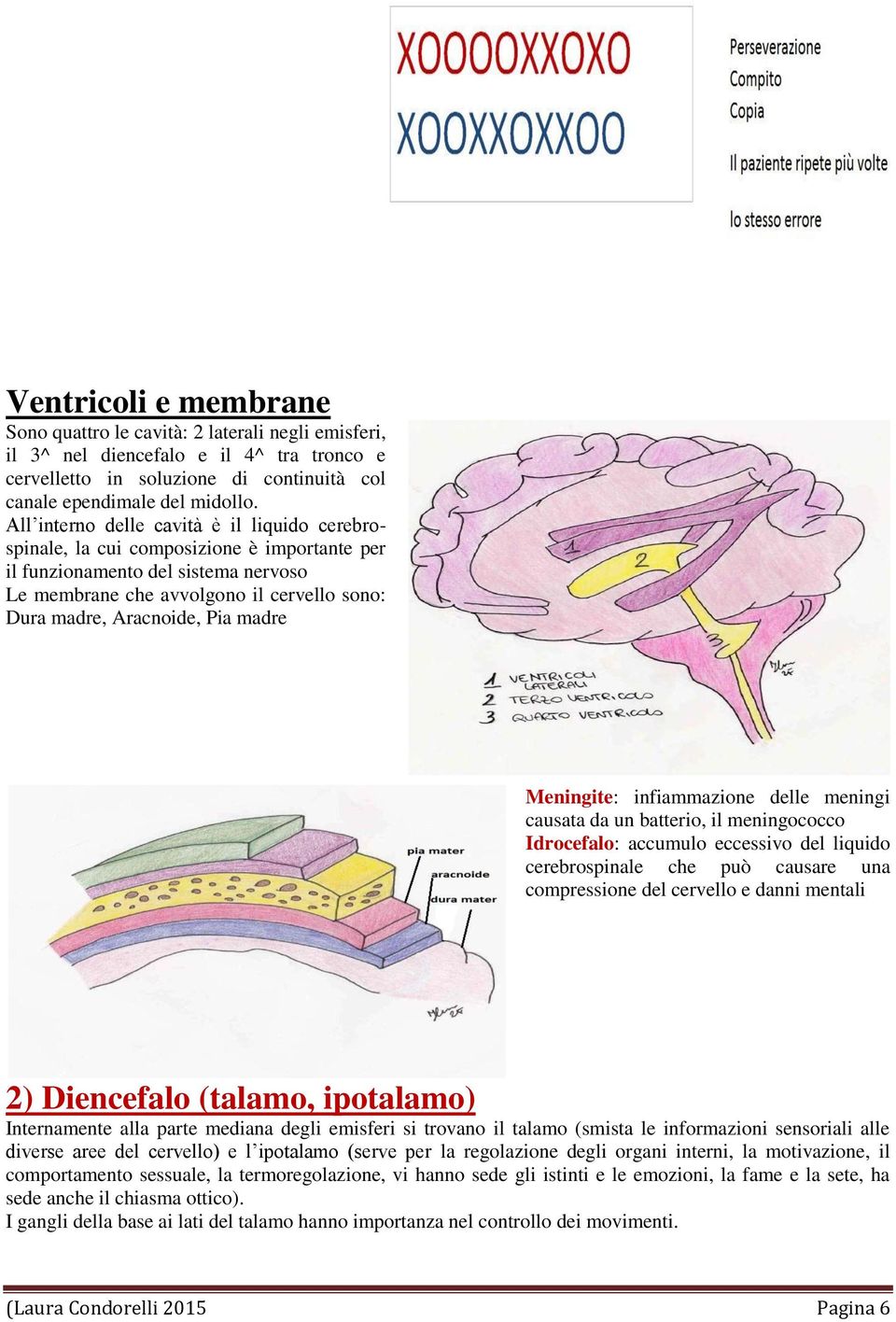 madre Meningite: infiammazione delle meningi causata da un batterio, il meningococco Idrocefalo: accumulo eccessivo del liquido cerebrospinale che può causare una compressione del cervello e danni