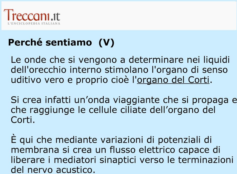 Si crea infatti un onda viaggiante che si propaga e che raggiunge le cellule ciliate dell organo del Corti.