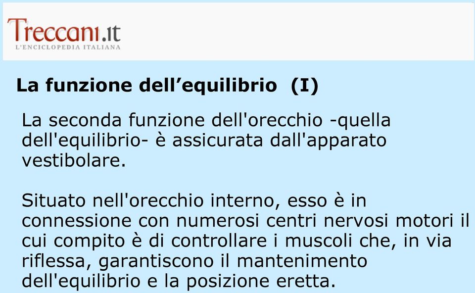 Situato nell'orecchio interno, esso è in connessione con numerosi centri nervosi motori