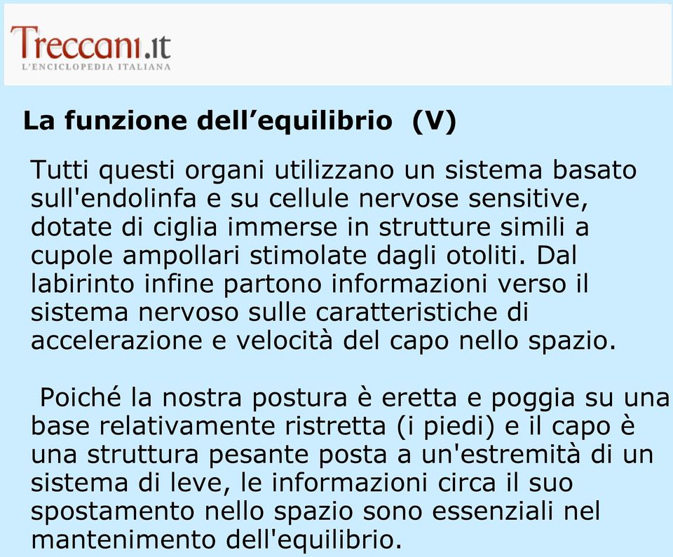 Dal labirinto infine partono informazioni verso il sistema nervoso sulle caratteristiche di accelerazione e velocità del capo nello spazio.