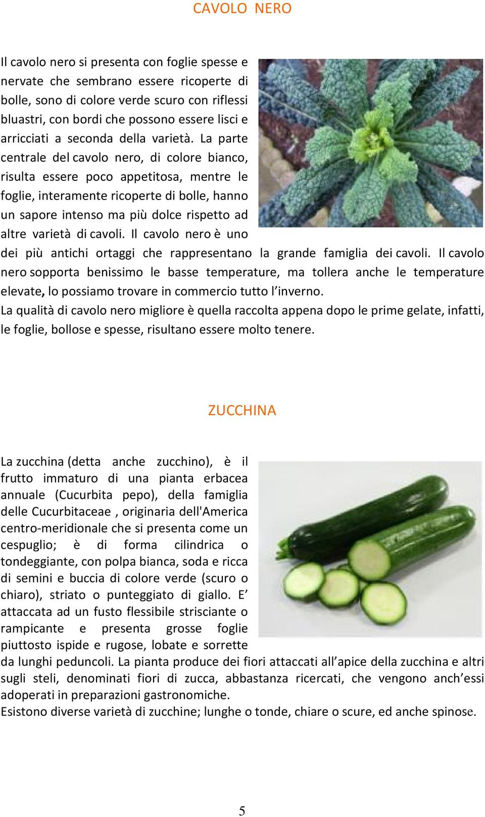 La parte centrale del cavolo nero, di colore bianco, risulta essere poco appetitosa, mentre le foglie, interamente ricoperte di bolle, hanno un sapore intenso ma più dolce rispetto ad altre varietà