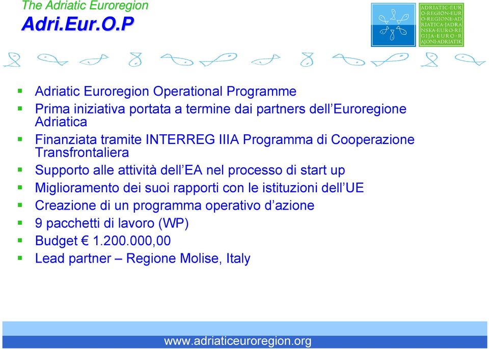 Adriatica Finanziata tramite INTERREG IIIA Programma di Cooperazione Transfrontaliera Supporto alle attività