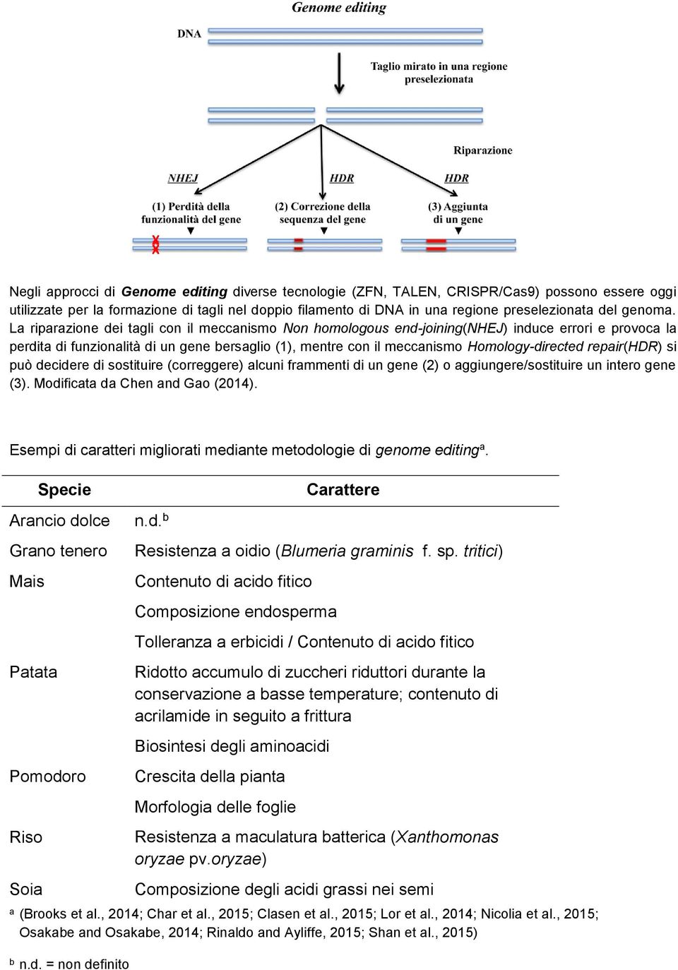 La riparazione dei tagli con il meccanismo Non homologous end-joining(nhej) induce errori e provoca la perdita di funzionalità di un gene bersaglio (1), mentre con il meccanismo Homology-directed