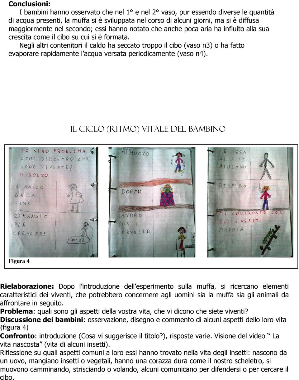 Negli altri contenitori il caldo ha seccato troppo il cibo (vaso n3) o ha fatto evaporare rapidamente l acqua versata periodicamente (vaso n4).