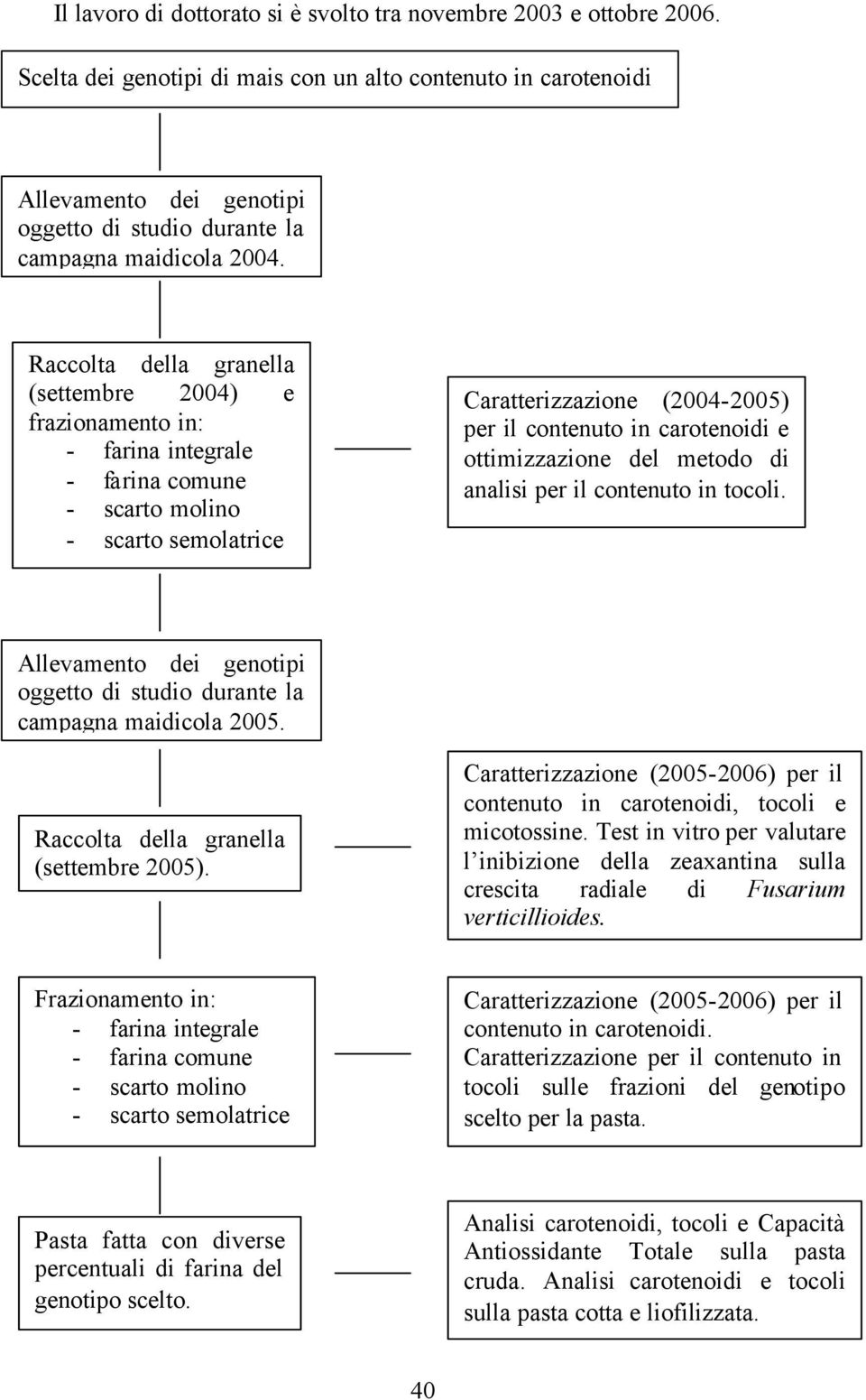 Raccolta della granella (settembre 2004) e frazionamento in: - farina integrale - farina comune - scarto molino - scarto semolatrice Caratterizzazione (2004-2005) per il contenuto in carotenoidi e