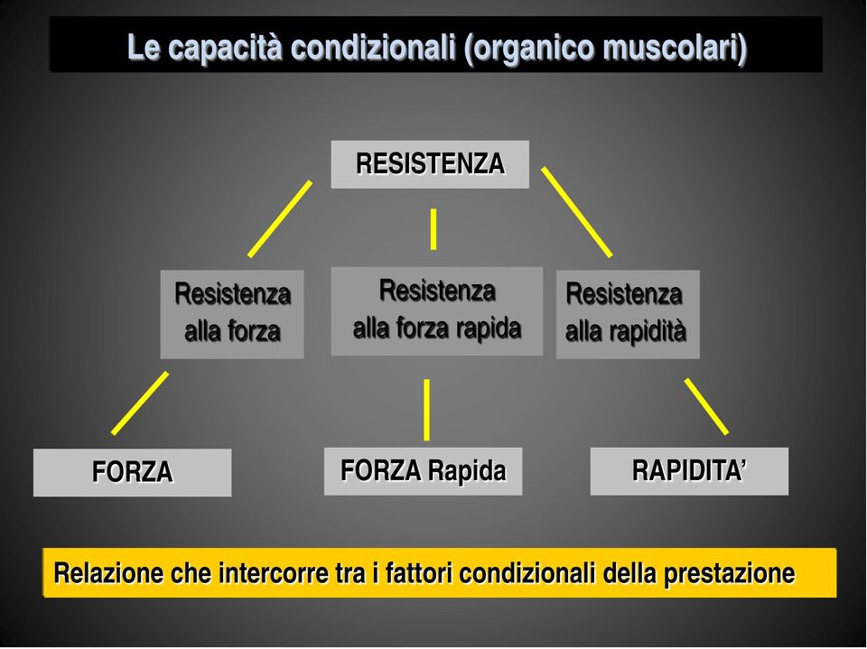 Resistenza alla rapidità FORZA FORZA Rapida RAPIDITA