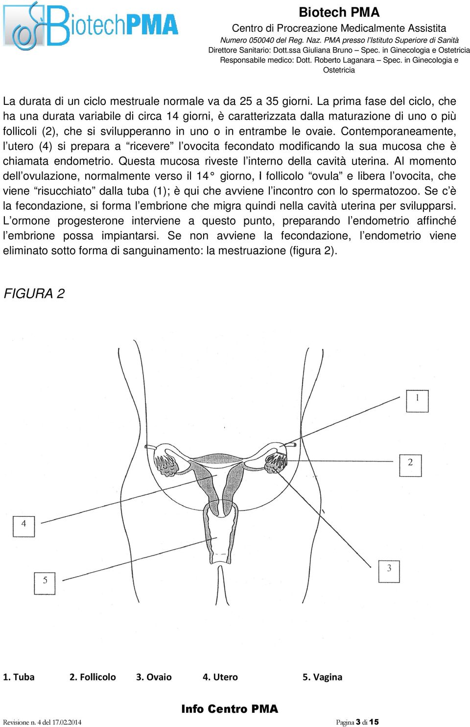 Contemporaneamente, l utero (4) si prepara a ricevere l ovocita fecondato modificando la sua mucosa che è chiamata endometrio. Questa mucosa riveste l interno della cavità uterina.