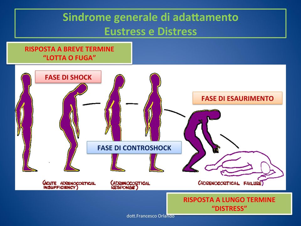 FUGA FASE DI SHOCK FASE DI ESAURIMENTO FASE