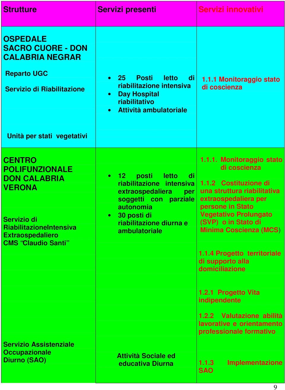 1.1 Monitoraggio stato di coscienza Unità per stati vegetativi CENTRO POLIFUNZIONALE DON CALABRIA VERONA Servizio di RiabilitazioneIntensiva Extraospedaliero CMS Claudio Santi 12 posti letto di