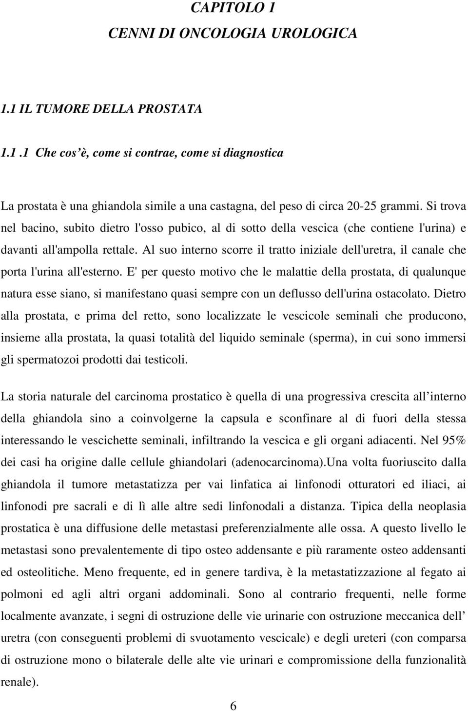 Al suo interno scorre il tratto iniziale dell'uretra, il canale che porta l'urina all'esterno.