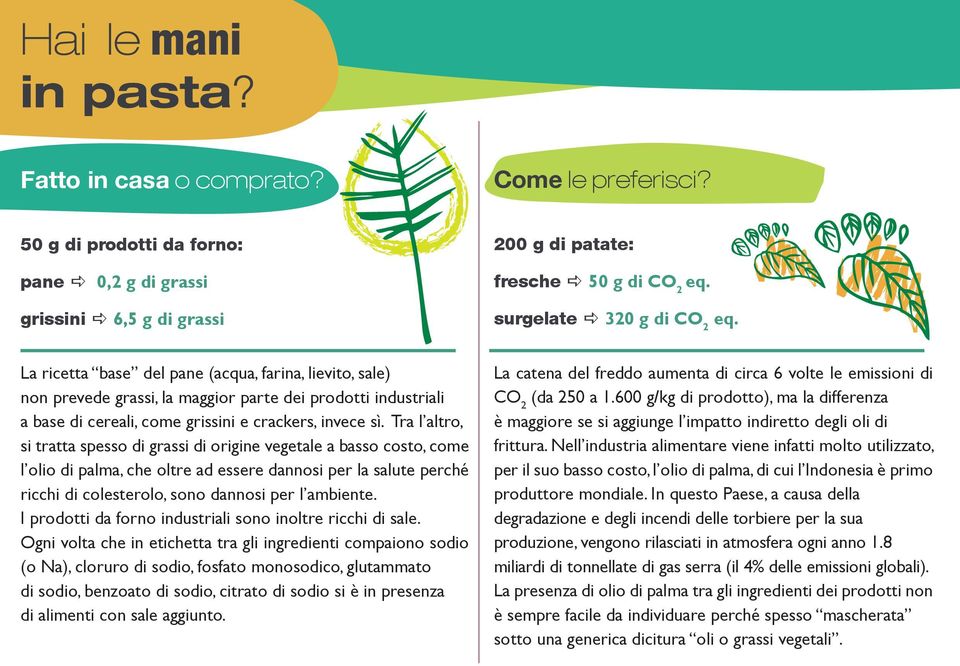 non prevede grassi, la maggior parte dei prodotti industriali a base di cereali, come grissini e crackers, invece sì.