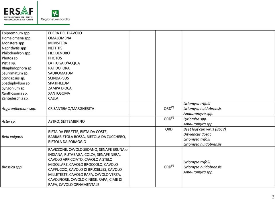 CRISANTEMO/MARGHERITA ORD (*) Aster sp. ASTRO, SETTEMBRINO ORD (*) Lyriomiza spp.