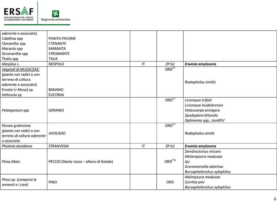 Pelargonium spp Persea gratissima (piante con radici o con terreno di coltura aderente o associato BANANO ELICONIA GERANIO AVOCADO ORD (*) ORD (*) ORD (*) Radopholus similis Helicoverpa armigera