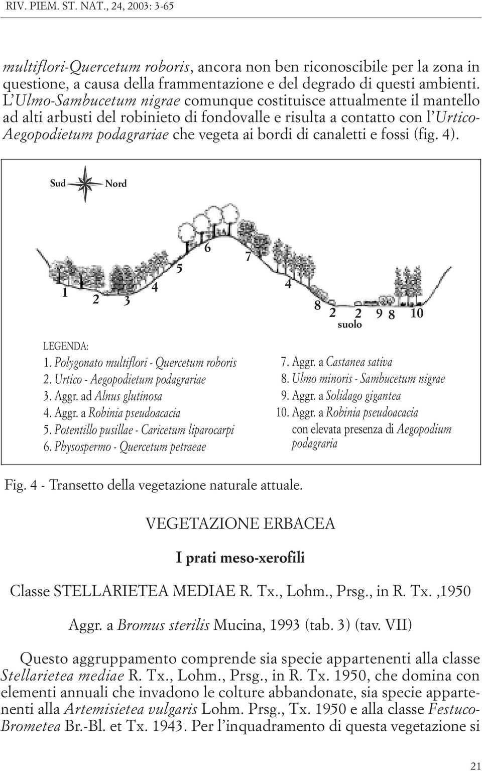 canaletti e fossi (fig. 4). Sud Nord 1 2 3 4 5 6 7 4 8 2 2 9 8 10 suolo LEGENDA: 1. Polygonato multiflori - Quercetum roboris 2. Urtico - Aegopodietum podagrariae 3. Aggr. ad Alnus glutinosa 4. Aggr. a Robinia pseudoacacia 5.