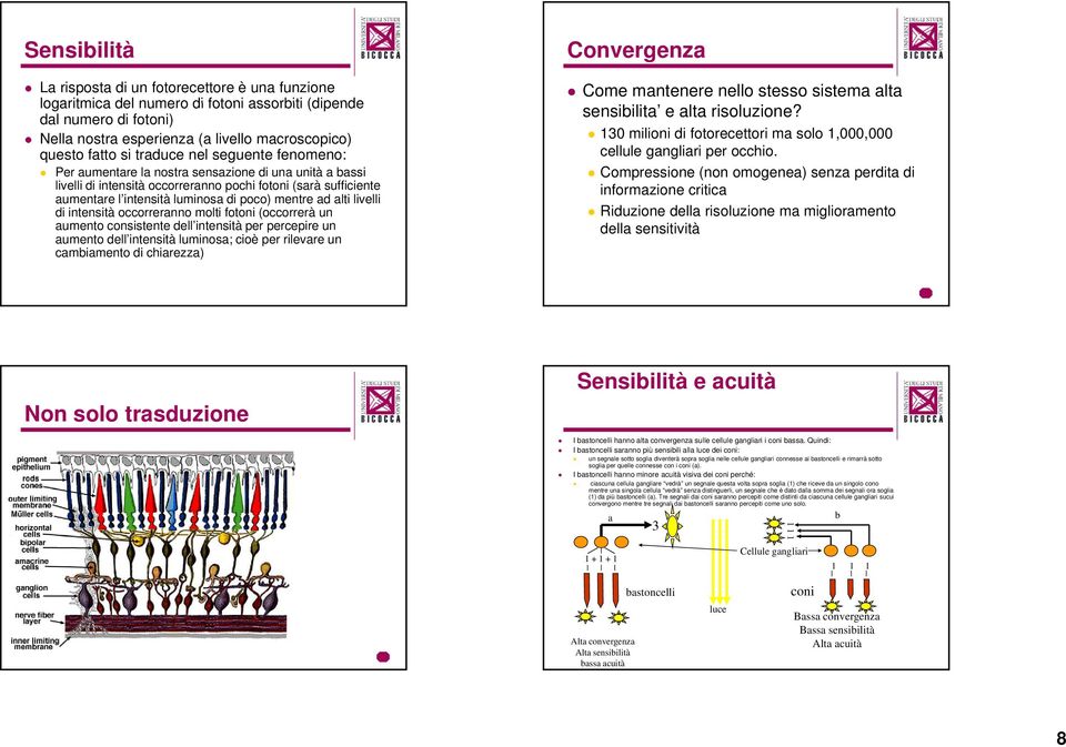 ad alti livelli di intensità occorreranno molti fotoni (occorrerà un aumento consistente dell intensità per percepire un aumento dell intensità luminosa; cioè per rilevare un cambiamento di