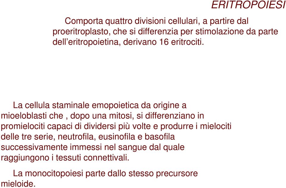 MIELOPOIESI O GRANULOCITOPOIESI, MONOCITOPOIESI La cellula staminale emopoietica da origine a mioeloblasti che, dopo una mitosi, si