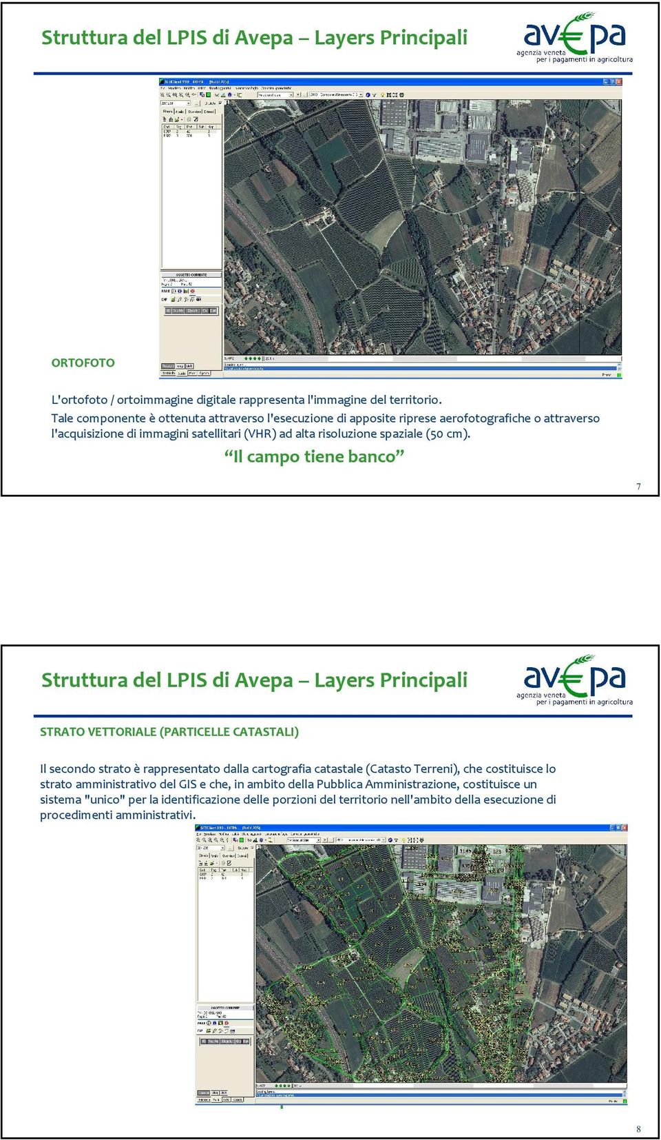 7 Struttura del LPIS di Avepa Layers Principali STRATO VETTORIALE (PARTICELLE CATASTALI) Il secondo strato è rappresentato dalla cartografia catastale (Catasto Terreni), che e costituisce