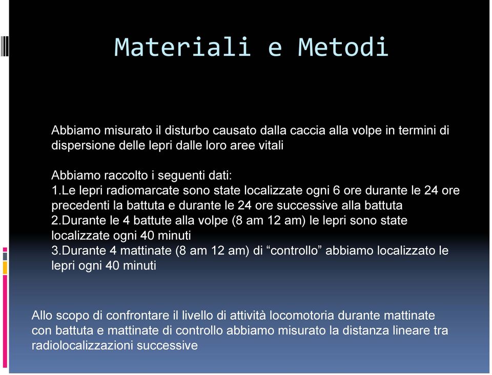 Durante le 4 battute alla volpe (8 am 12 am) le lepri sono state localizzate ogni 40 minuti 3.