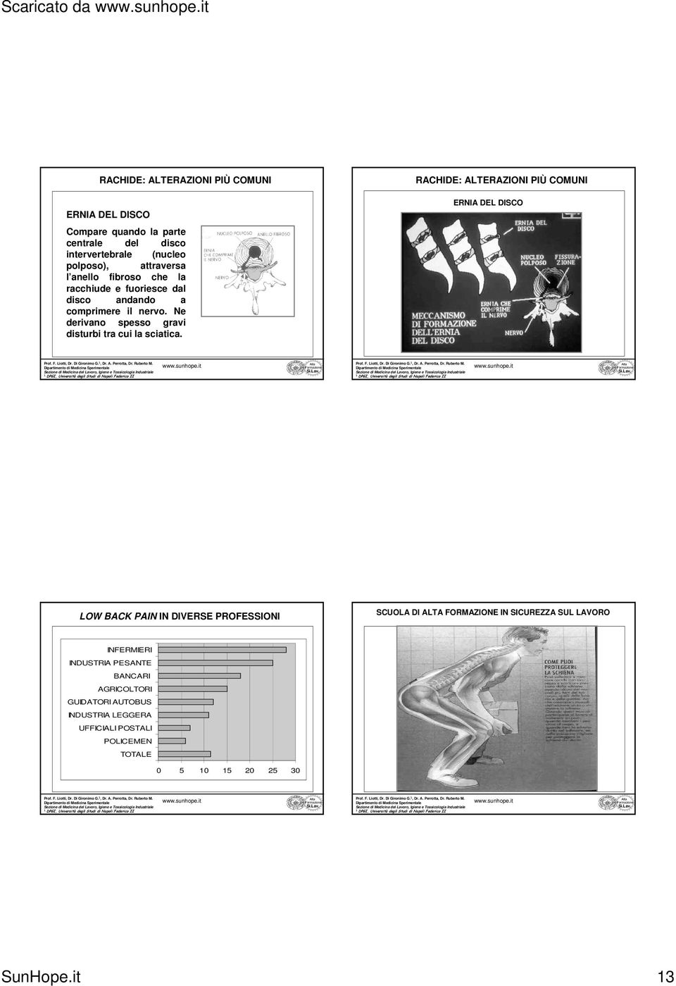 RACHIDE: ALTERAZIONI PIÙ COMUNI ERNIA DEL DISCO ERNIA DEL DISCO 49Formazione 50Formazione LOW BACK PAIN IN DIVERSE PROFESSIONI SCUOLA DI ALTA FORMAZIONE IN