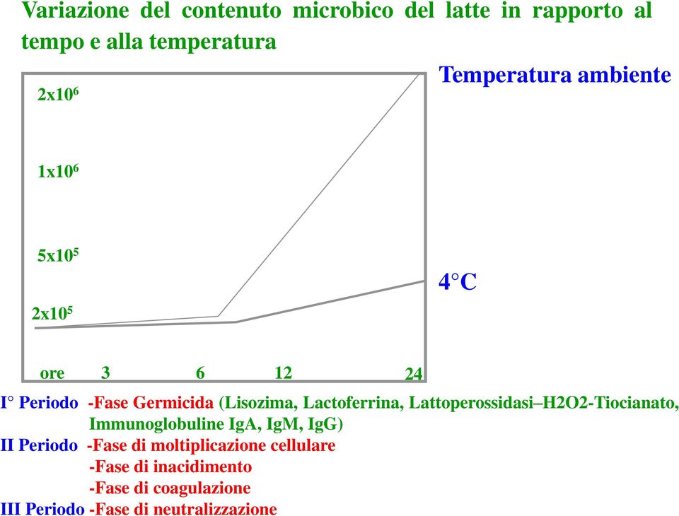 Lactoferrina, Lattoperossidasi H2O2-Tiocianato, Immunoglobuline IgA, IgM, IgG) II Periodo -Fase di