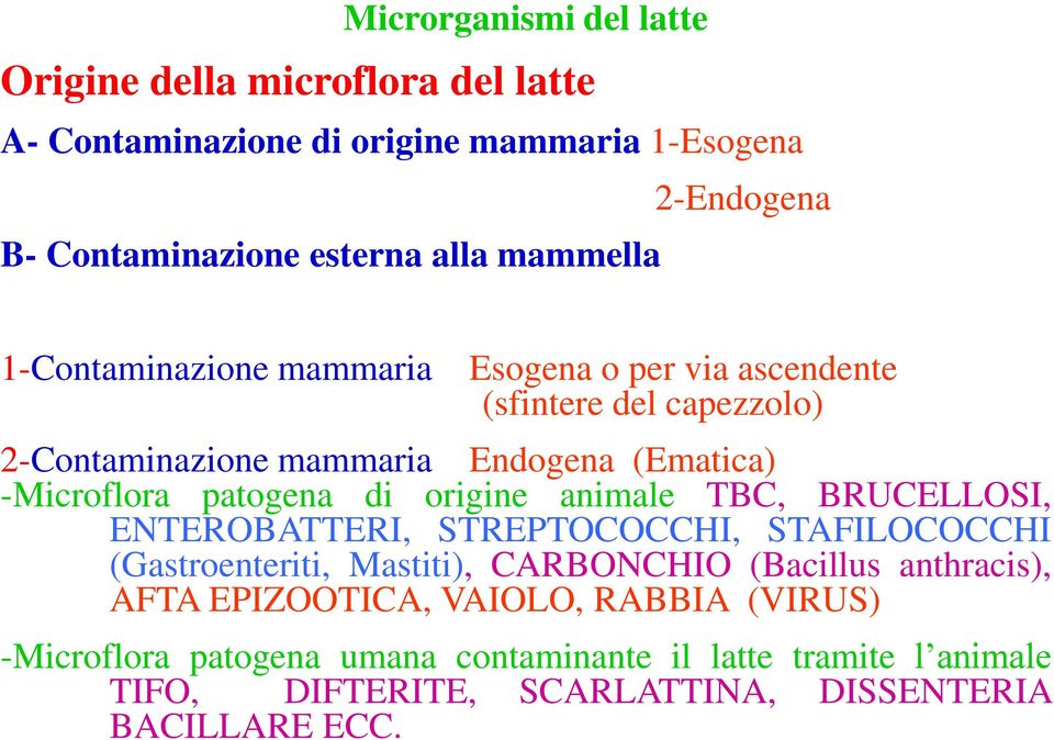 patogena di origine animale TBC, BRUCELLOSI, ENTEROBATTERI, STREPTOCOCCHI, STAFILOCOCCHI (Gastroenteriti, Mastiti), CARBONCHIO (Bacillus anthracis),