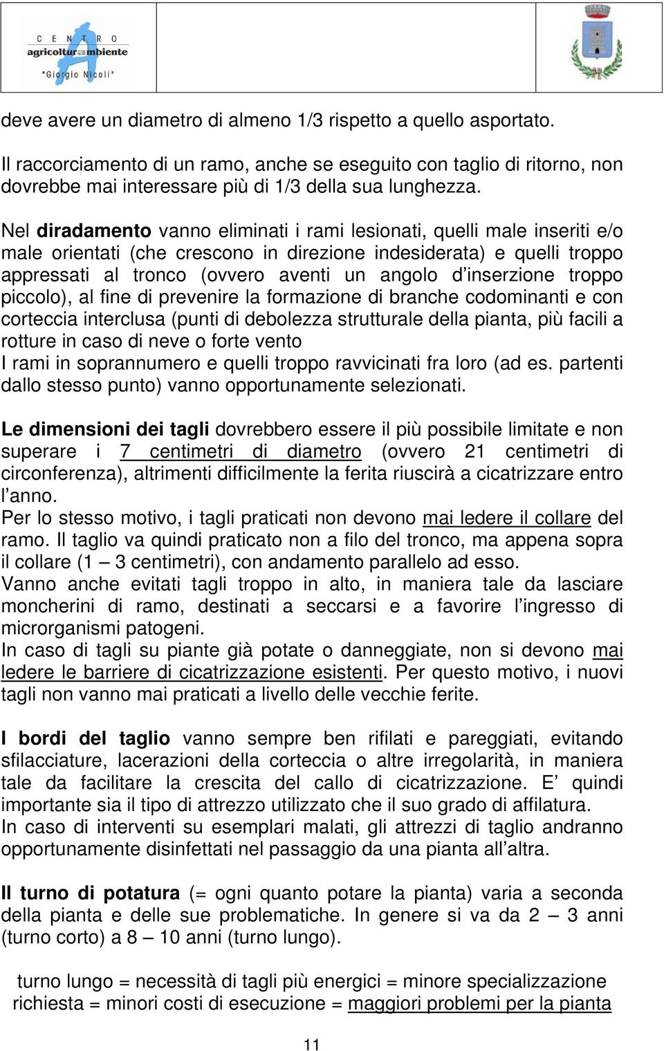 inserzione troppo piccolo), al fine di prevenire la formazione di branche codominanti e con corteccia interclusa (punti di debolezza strutturale della pianta, più facili a rotture in caso di neve o