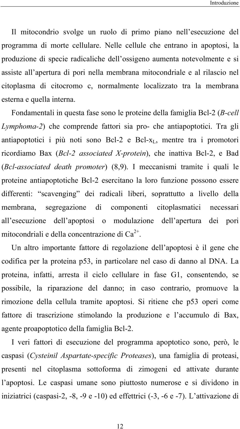 citoplasma di citocromo c, normalmente localizzato tra la membrana esterna e quella interna.