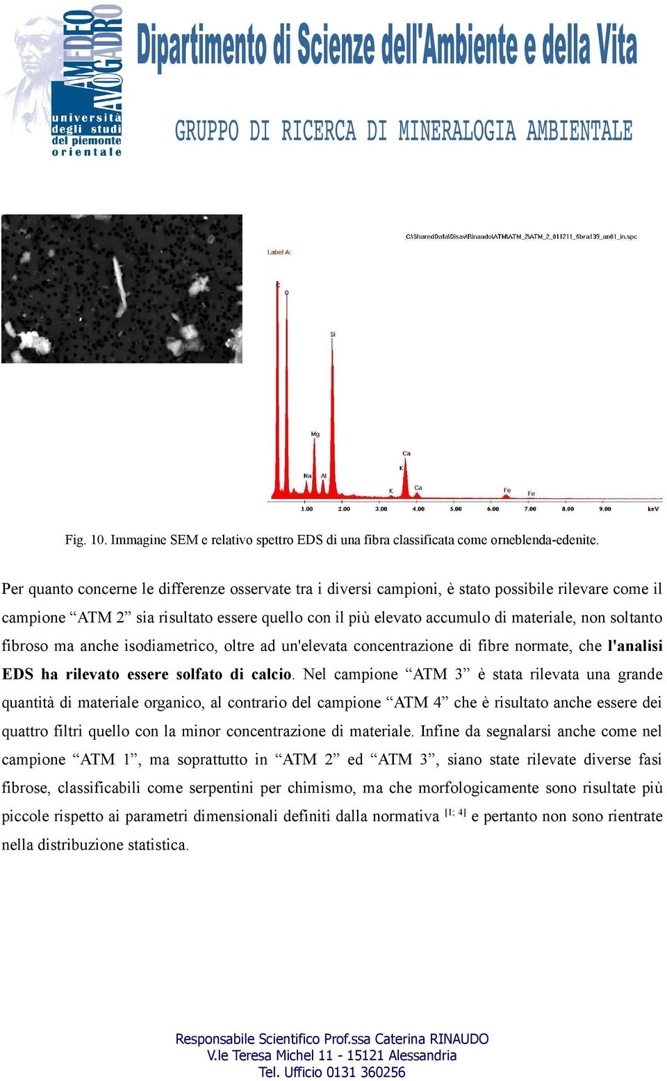 soltanto fibroso ma anche isodiametrico, oltre ad un'elevata concentrazione di fibre normate, che l'analisi EDS ha rilevato essere solfato di calcio.