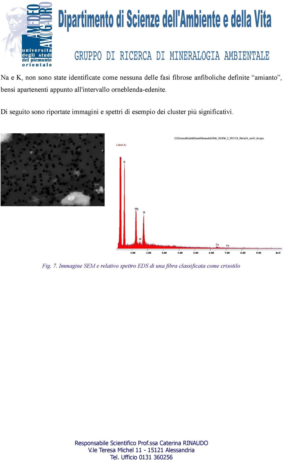 Di seguito sono riportate immagini e spettri di esempio dei cluster più