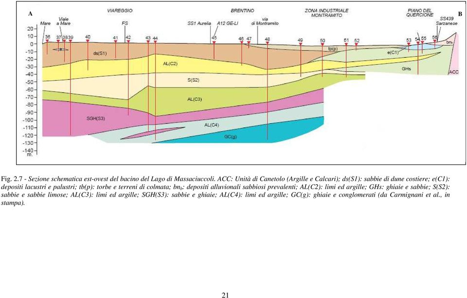 torbe e terreni di colmata; bn b : depositi alluvionali sabbiosi prevalenti; AL(C2): limi ed argille; GHs: ghiaie e sabbie;