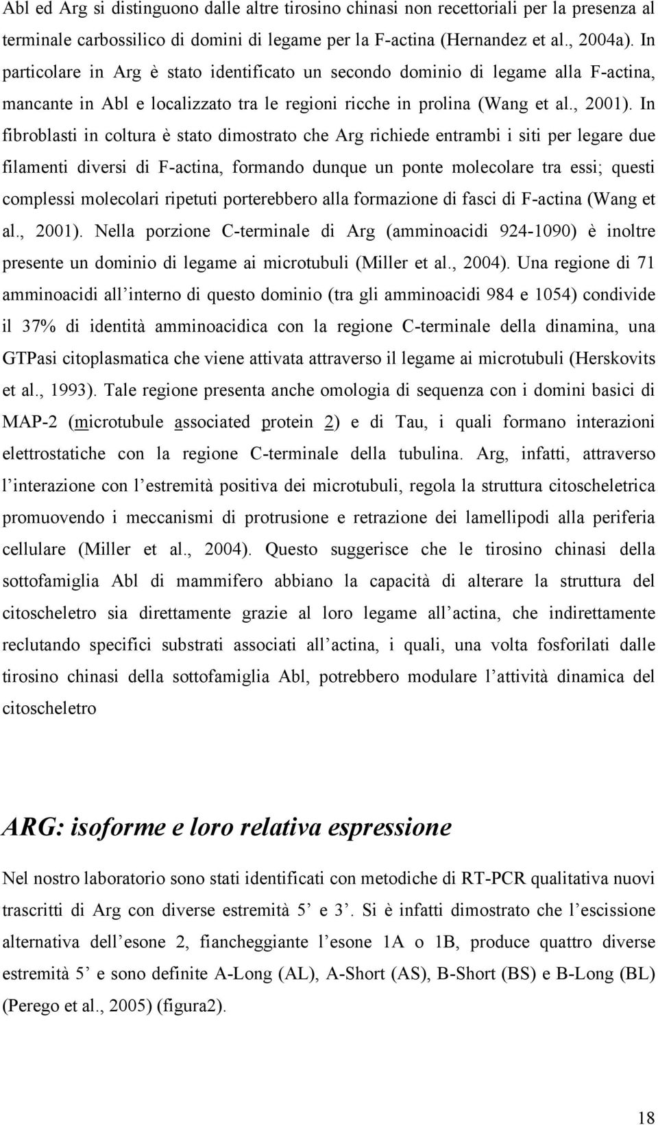 In fibroblasti in coltura è stato dimostrato che Arg richiede entrambi i siti per legare due filamenti diversi di F-actina, formando dunque un ponte molecolare tra essi; questi complessi molecolari