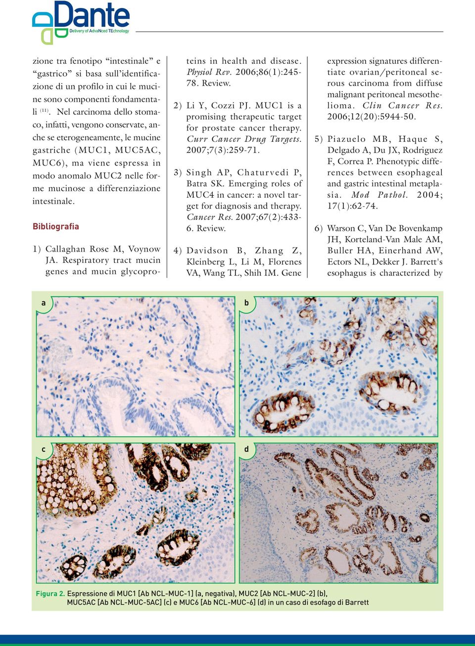 differenziazione intestinale. Bibliografia 1) Callaghan Rose M, Voynow JA. Respiratory tract mucin genes and mucin glycoproteins in health and disease. Physiol Rev. 2006;86(1):245-78. Review.