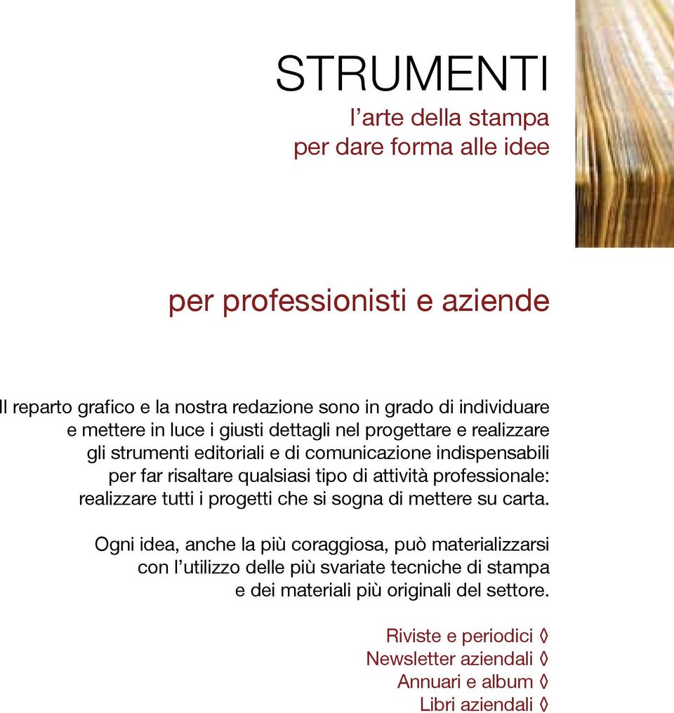 professionale: realizzare tutti i progetti che si sogna di mettere su carta.