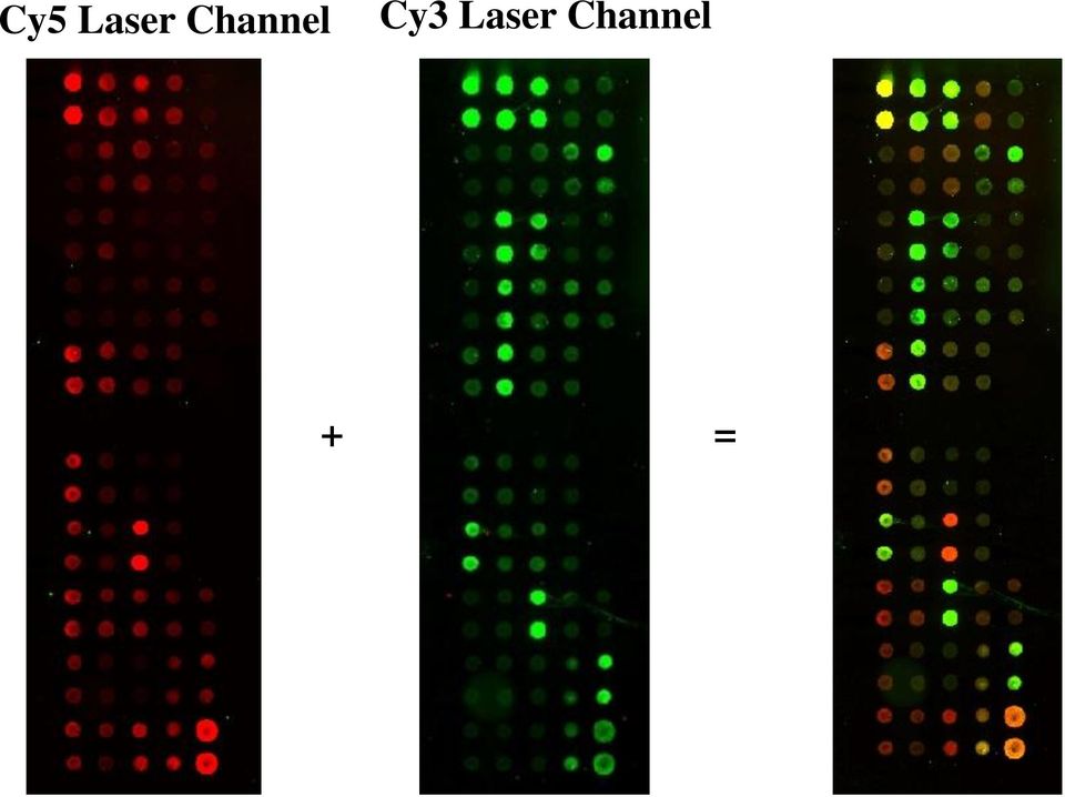 Cy3 Laser