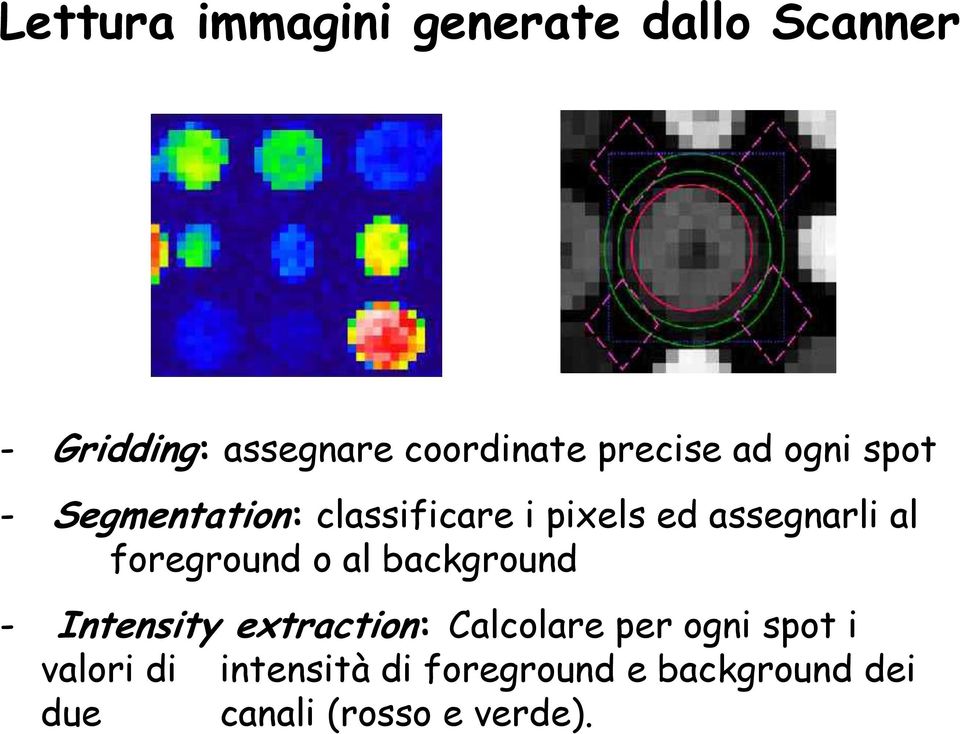 foreground o al background - Intensity extraction: Calcolare per ogni spot