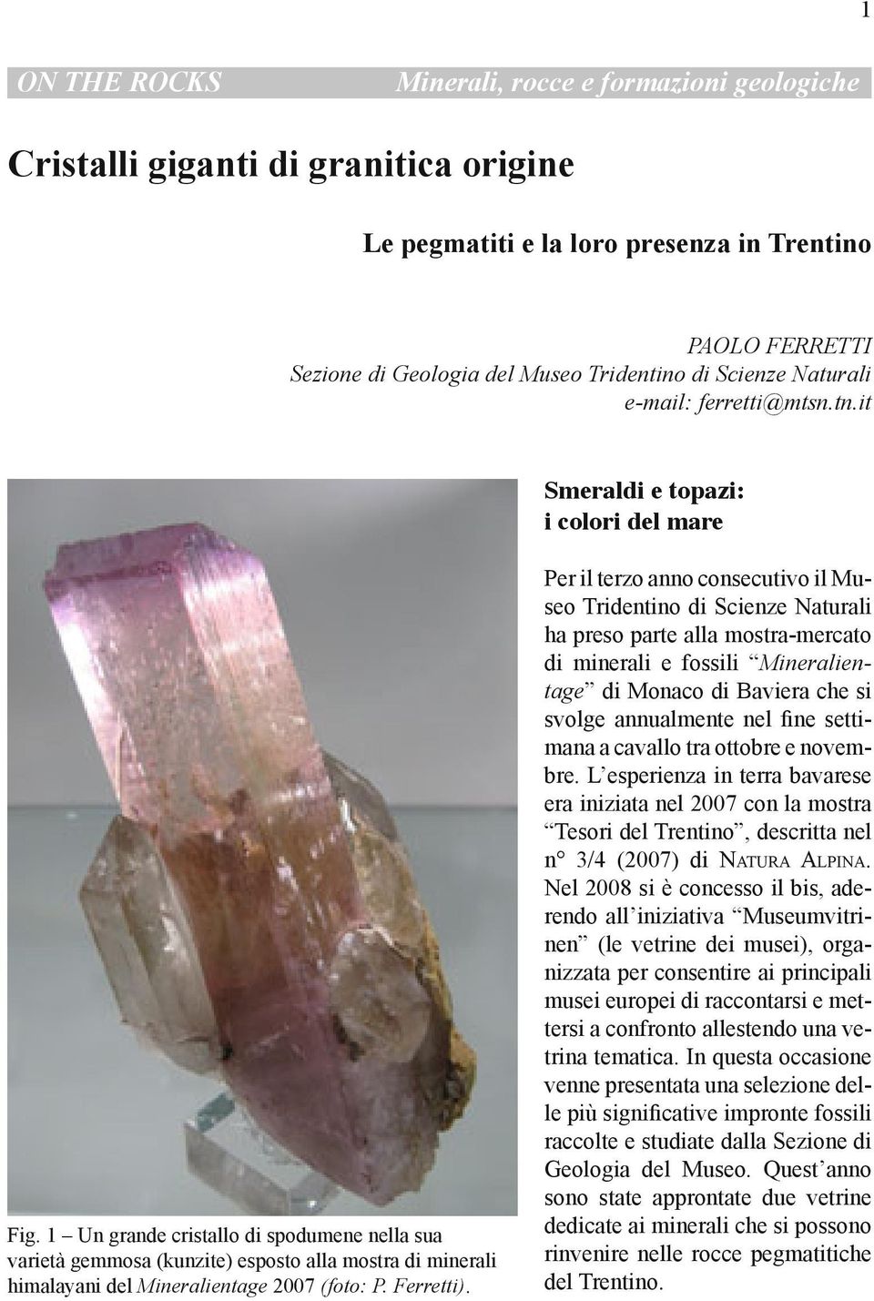 1 Un grande cristallo di spodumene nella sua varietà gemmosa (kunzite) esposto alla mostra di minerali himalayani del Mineralientage 2007 (foto: P. Ferretti).