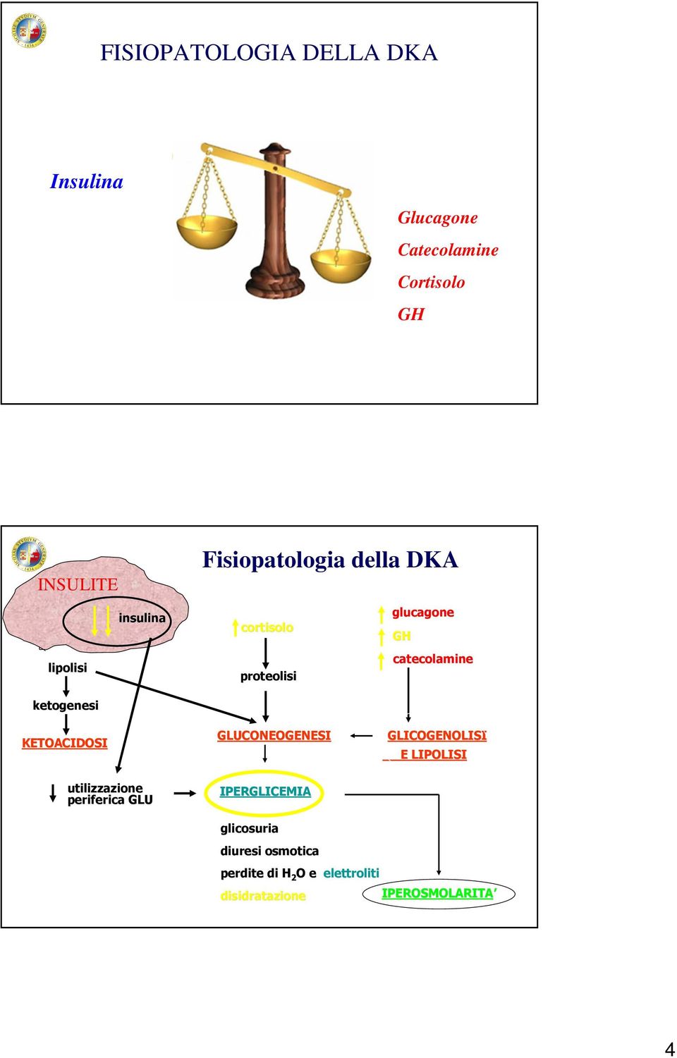 ketogenesi KETOACIDOSI utilizzazione periferica GLU GLUCONEOGENESI IPERGLICEMIA