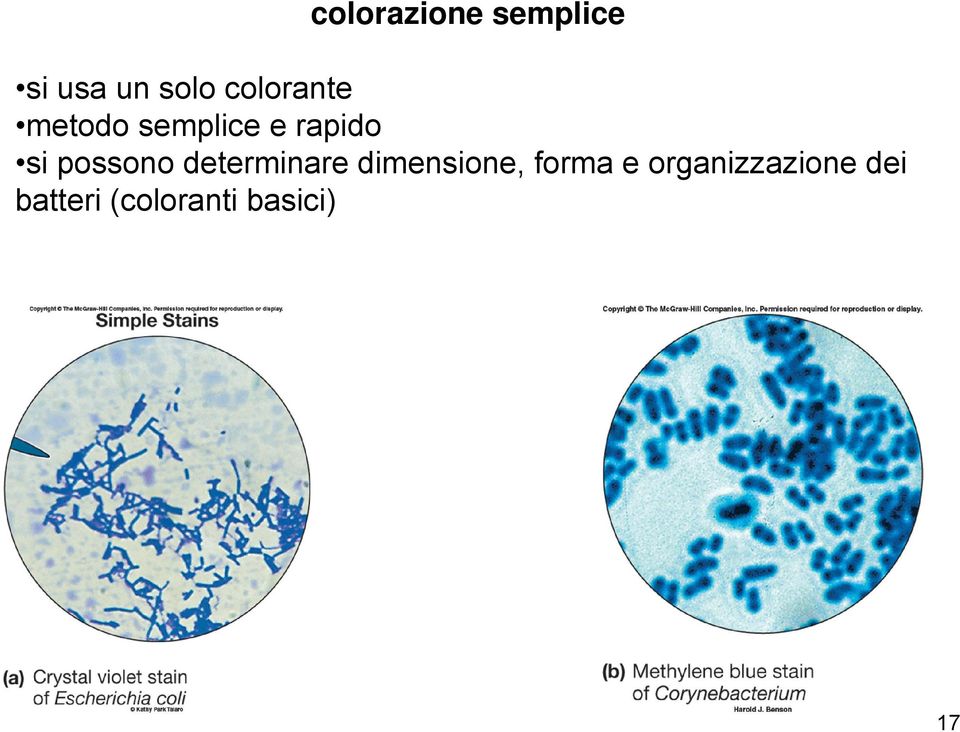 possono determinare dimensione, forma e